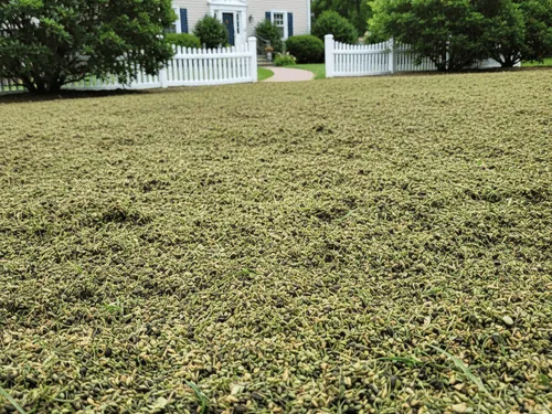 Weekly Lawn Maintenance Brentwood, NY