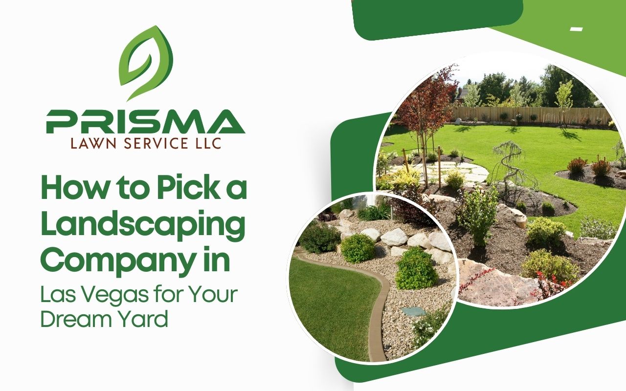 How to Pick a Landscaping Company in Las Vegas for Your Dream Yard