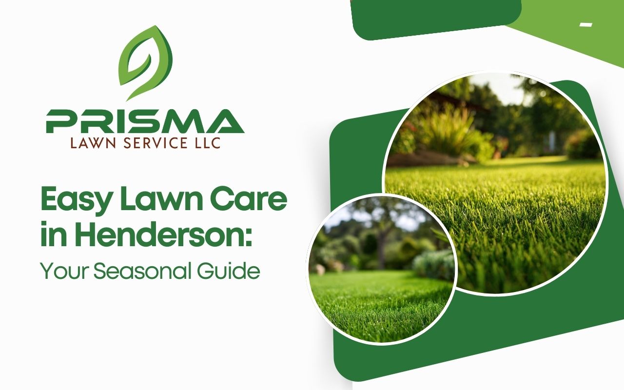 Spring aeration and cleanup for lawn maintenance henderson with healthy green turf