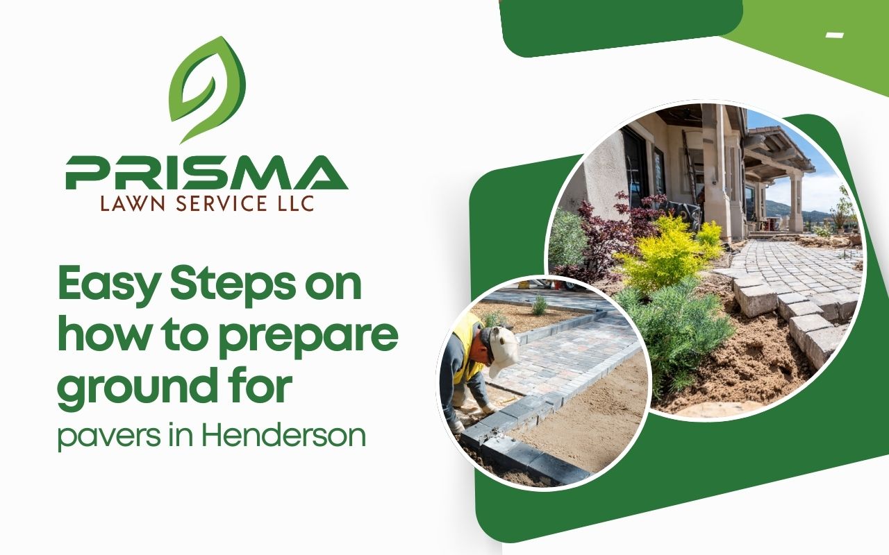 Easy Steps on how to prepare ground for pavers in Henderson