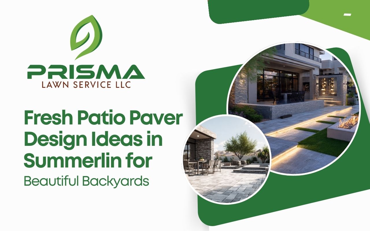 Fresh Patio Paver Design Ideas in Summerlin for Beautiful Backyards