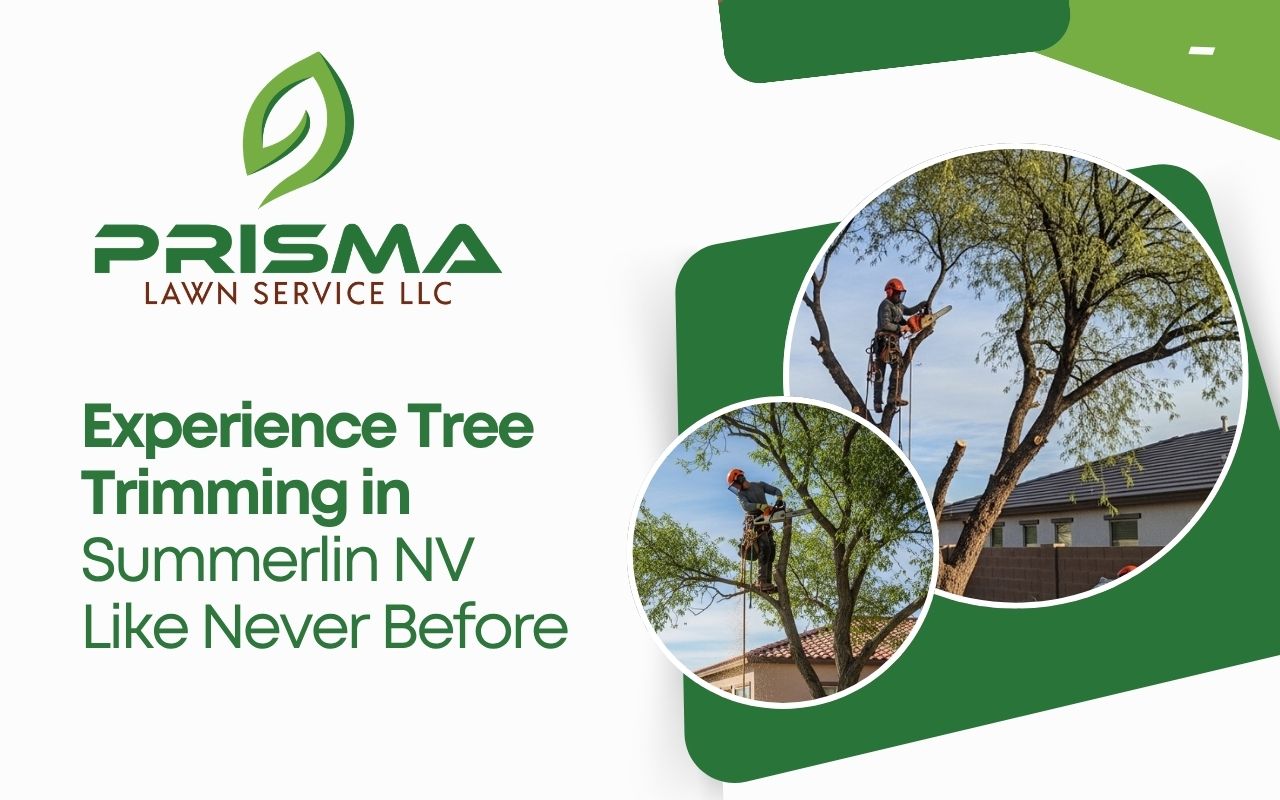 Experience Tree Trimming in Summerlin NV Like Never Before