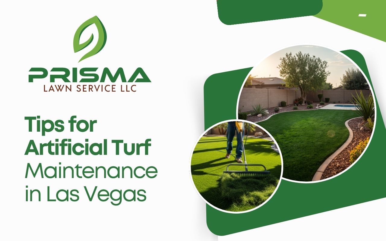 artificial turf maintenance in Las Vegas for a clean green yard