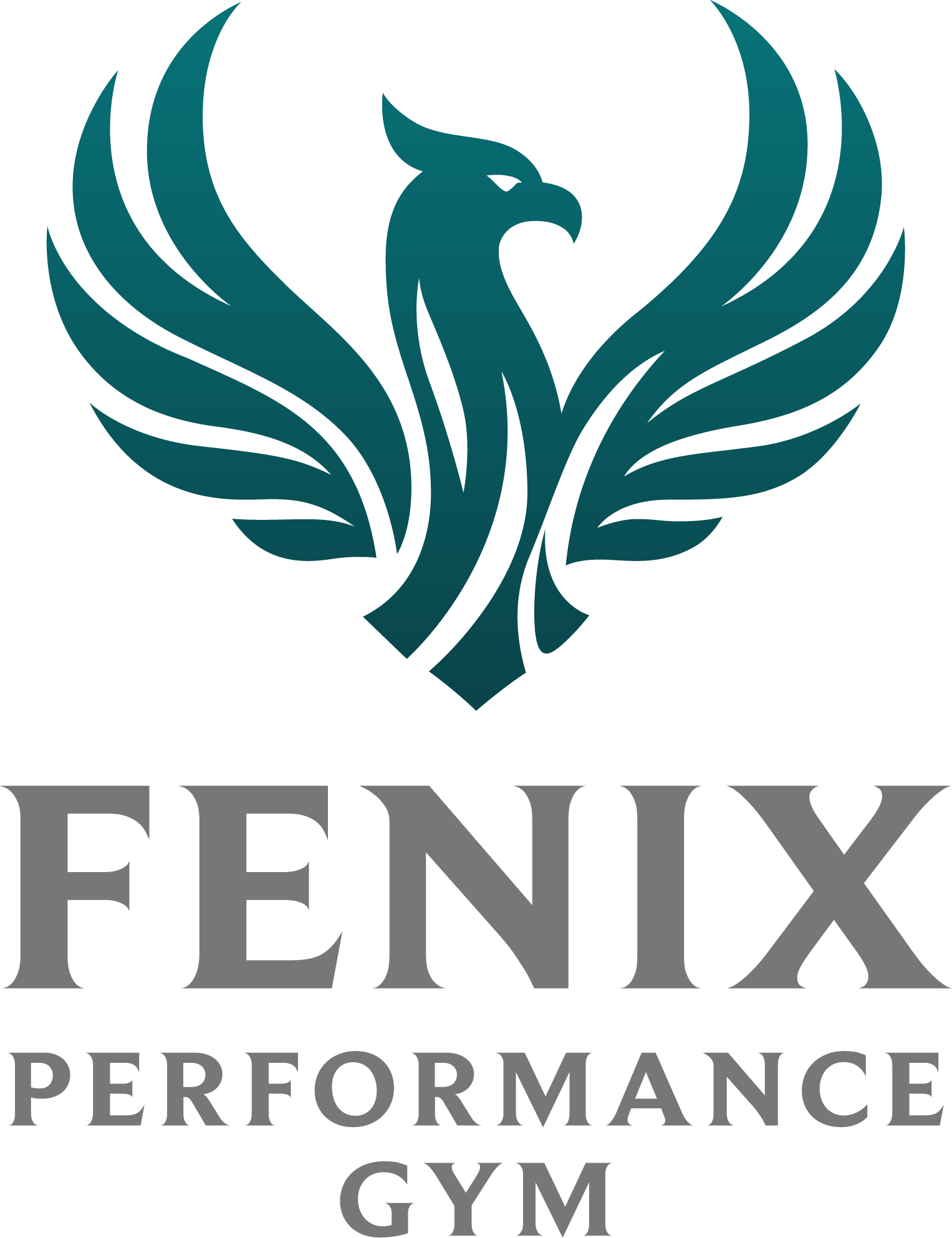 Crossfit Fitness Gym Jacksonville Illinois