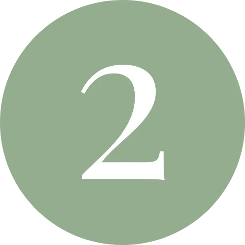 Step 2 rybar