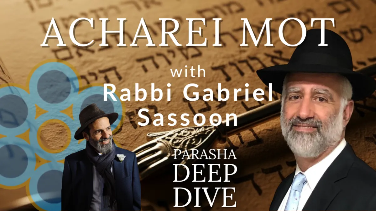 Torah Portion 28