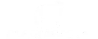 Black Bear TV