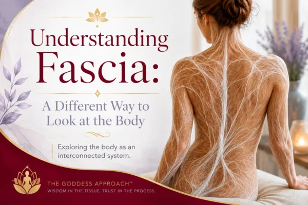 Understanding Fascia: A Different Way to Look at the Body and Why Does It Matter?