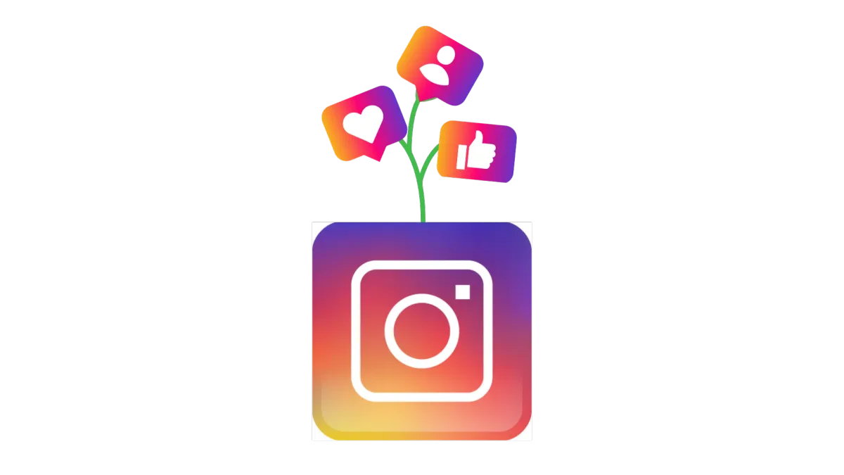 Instagrowth