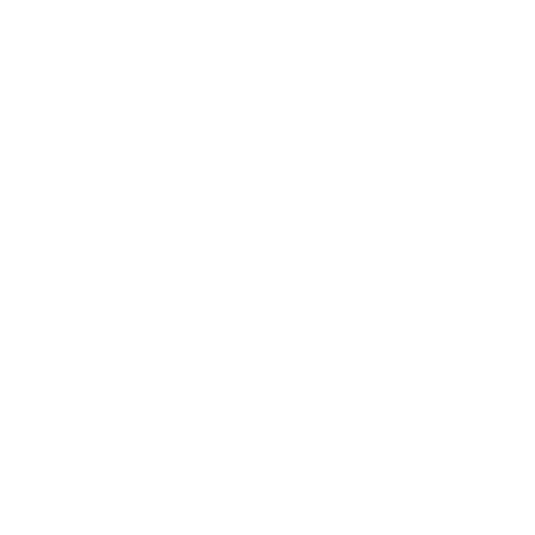 minimalist safety compliance icon