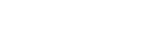 Oasis Web Flow Logo