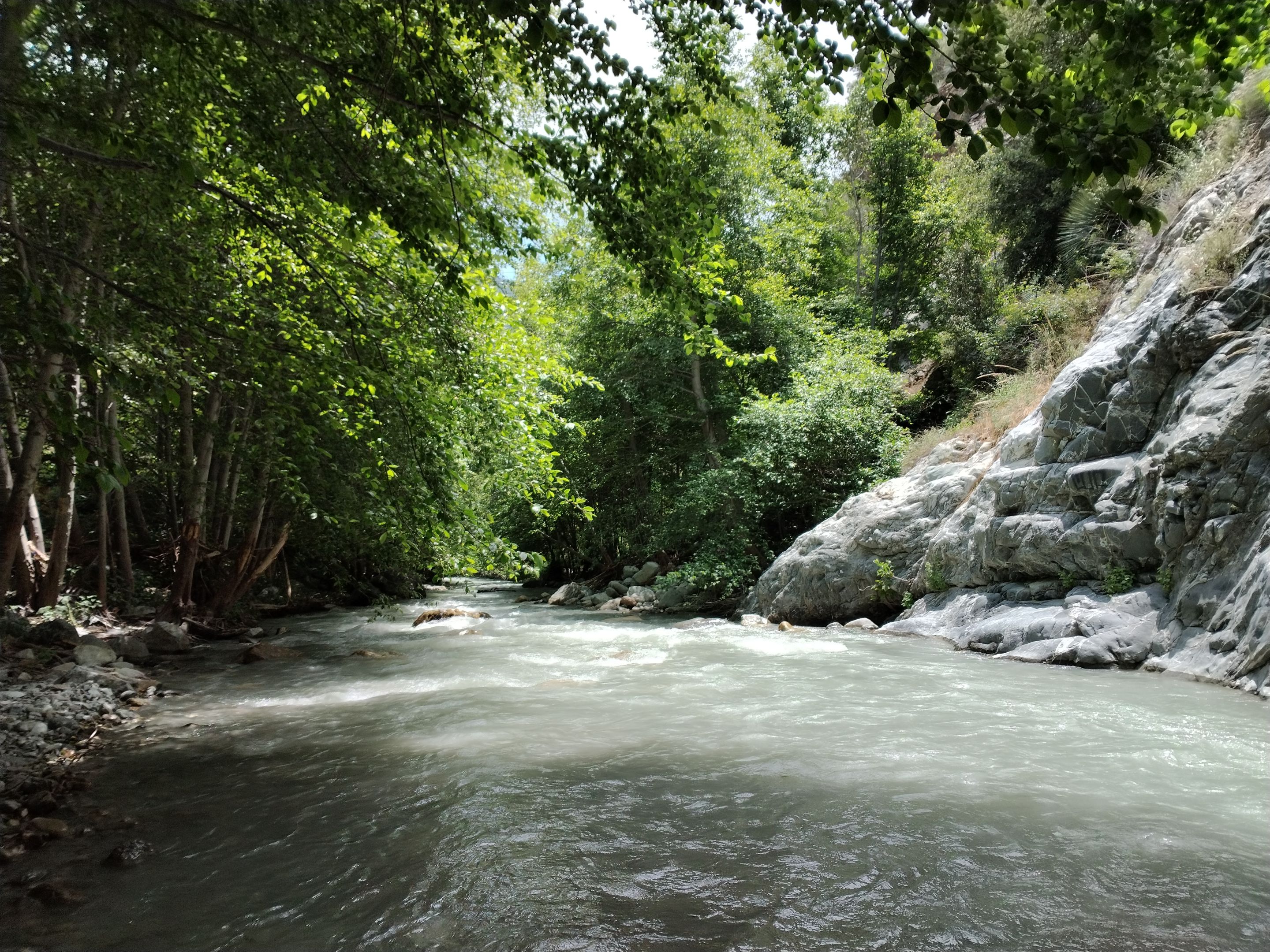 Natural landscape with water in the San Gabriel Mountains near Azusa, California