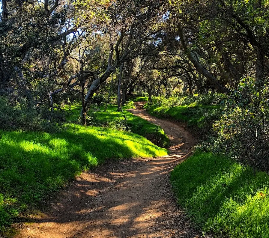 Marshall Canon Regional Park in La Verne, California 