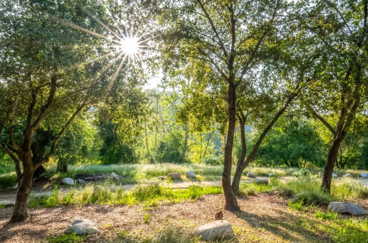 Arroyo Seco Park in South Pasadena, California.