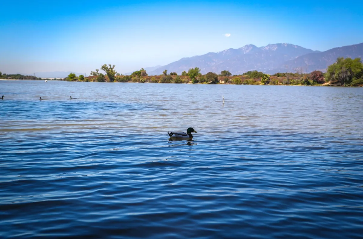 Santa Fe Dam Recreation Area