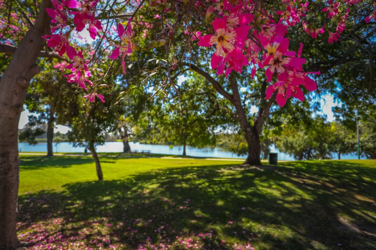 Whittier Narrows recreation Area in South El Monte