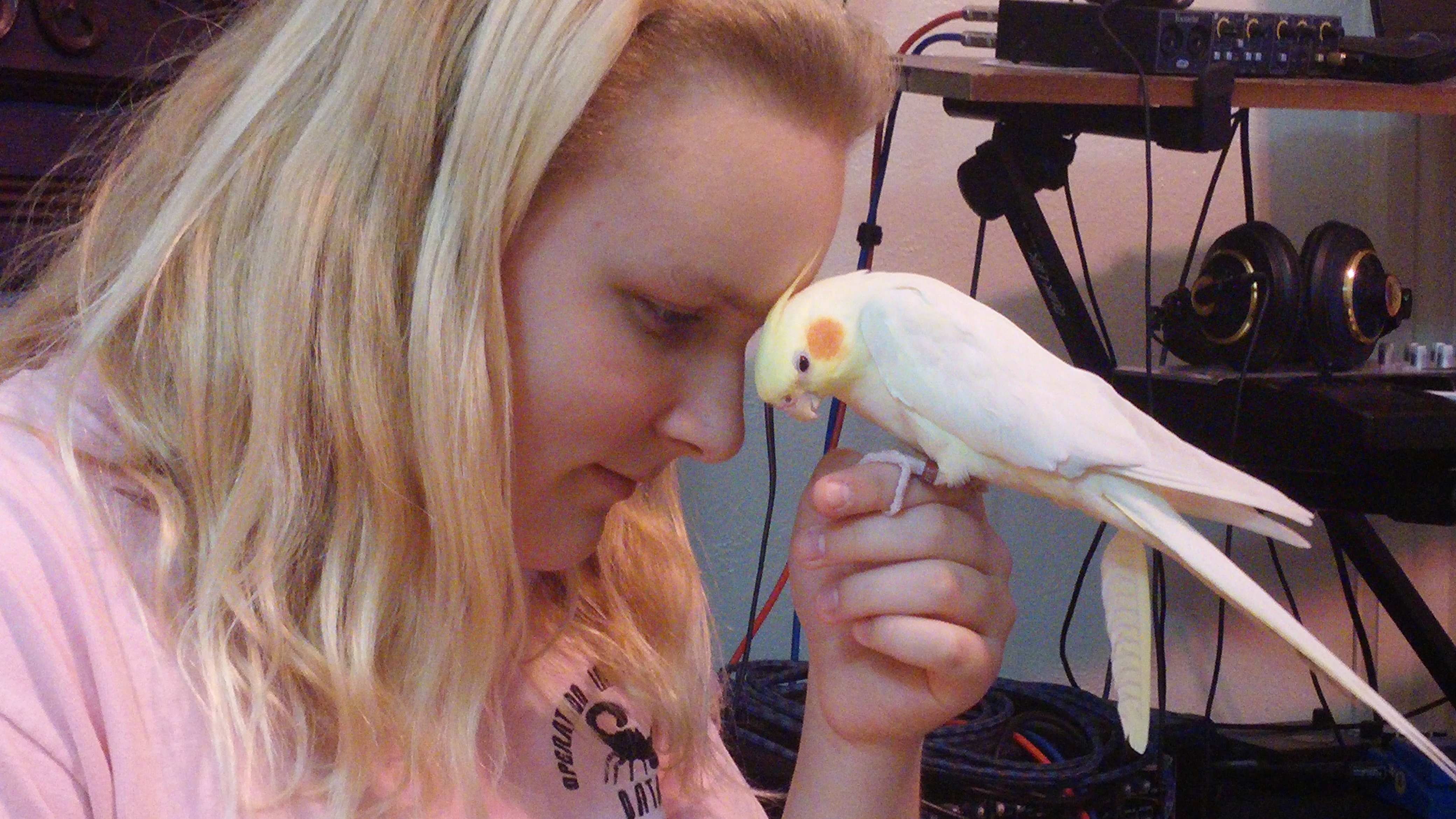 Navigating Deception with Grace