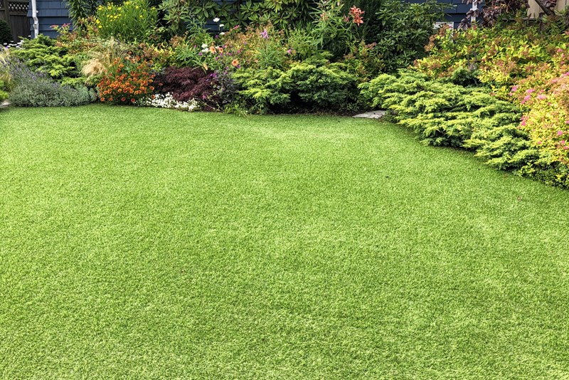 Lush green backyard lawn surrounded by colorful garden beds with shrubs, ornamental grasses, and flowering plants