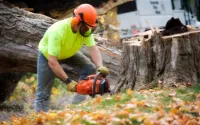 tree service owner running a chain saw