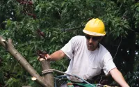 tree service owner after revenue recoery