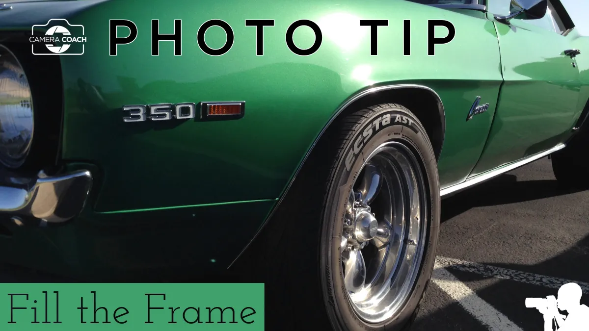 Photo Tip - Fill the Frame