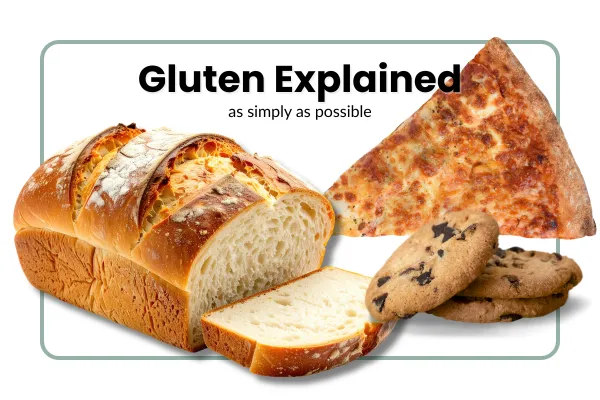 gluten explained