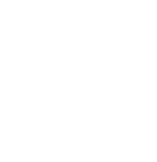 Mushroom Rise