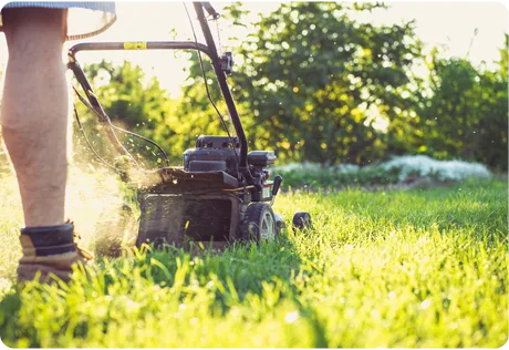 Lawnmower cutting through grass