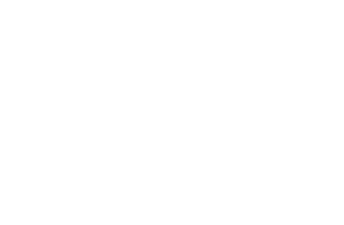 Vasilk Elecric