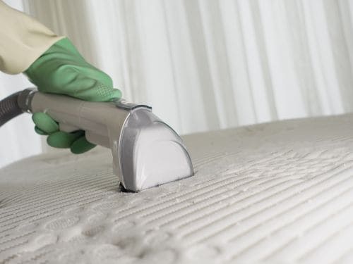 Eugene Carpet Cleaning