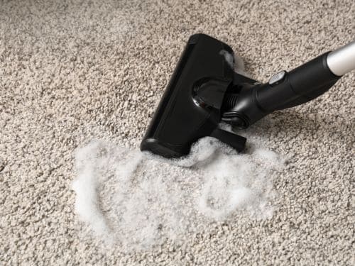 Springfield Carpet Cleaning