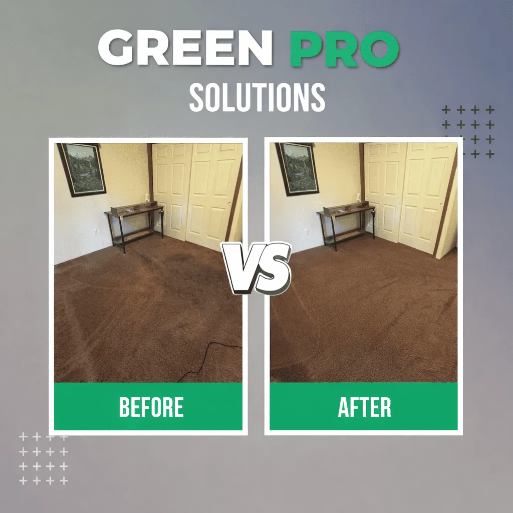 Upholstery Cleaning Eugene