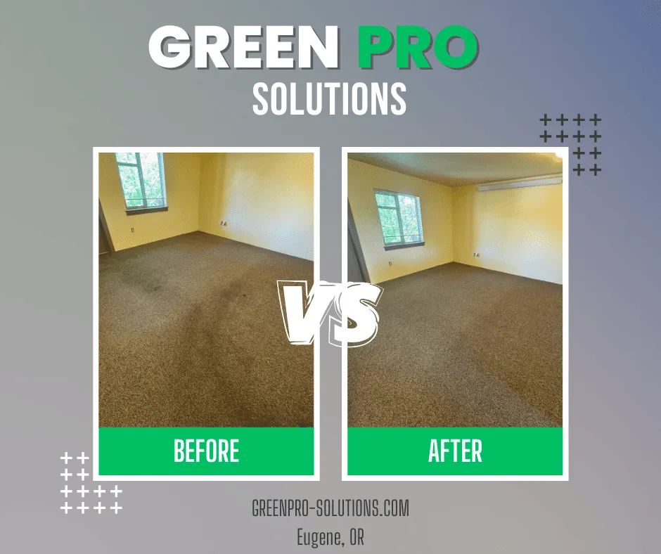 Upholstery Cleaning Eugene