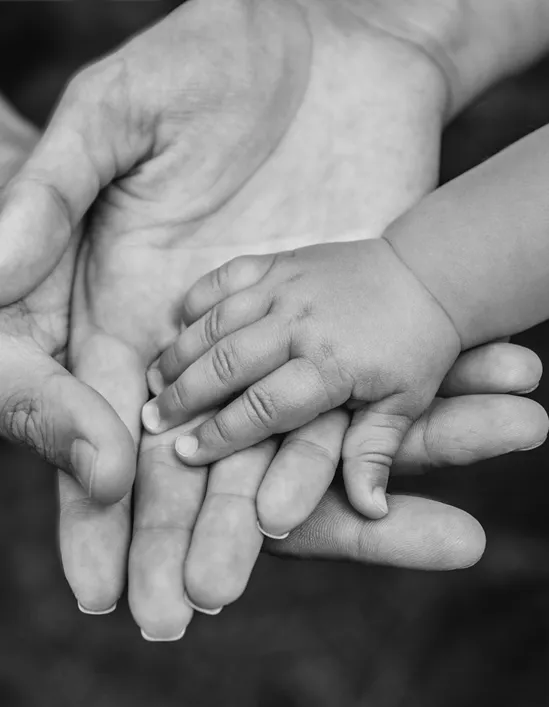 An image of a baby hand holding a caregiver's hand inferring safety, bond and calm regulated state.