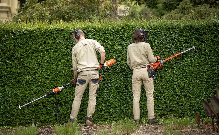 hedge trimming Banora Point
