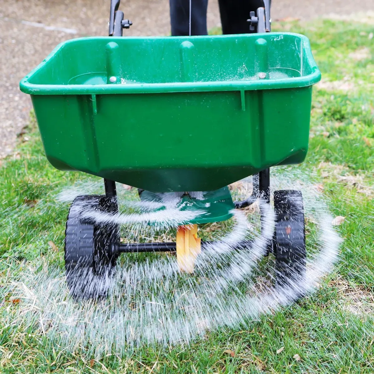 Lawn fertilizing service Tweed Heads backyard