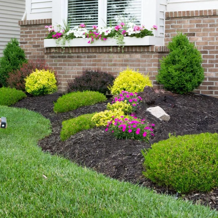 Low-maintenance softscape design in Fingal Head