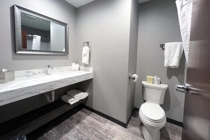 Bathroom in the King Premier Room at Metropolis Resort