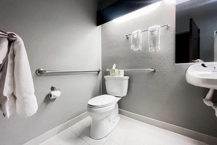 Bathroom in the Double Queen Handicap Room at Metropolis Resort