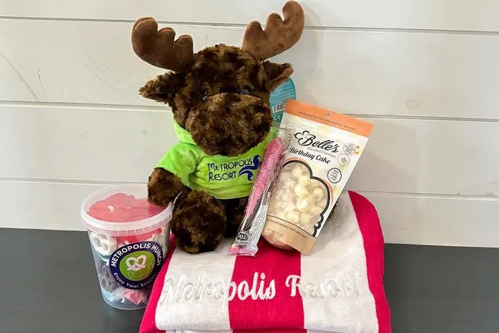 A stuffed animal moose, beach towel, rock candy, and popcorn