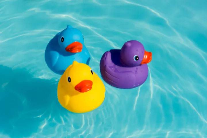 A yellow, blue, and purple rubber duck floating in water
