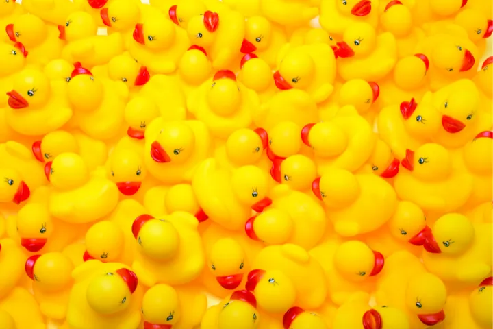 Yellow rubber ducks