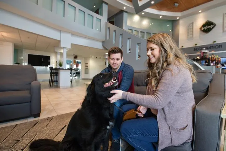 Guests petting their dog in the Metropolis Resort hotel lobby