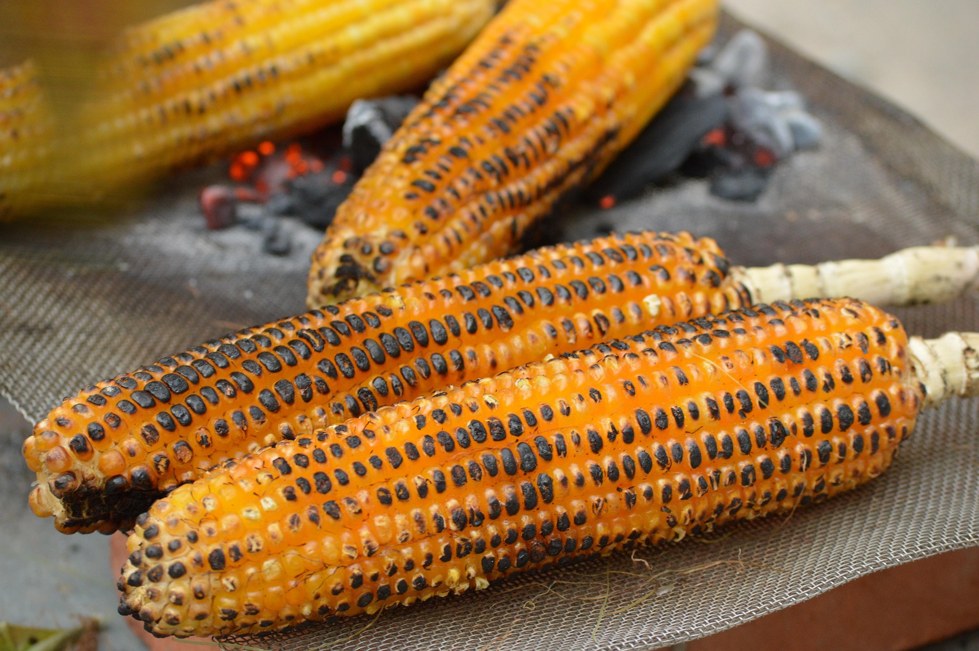 Corn
