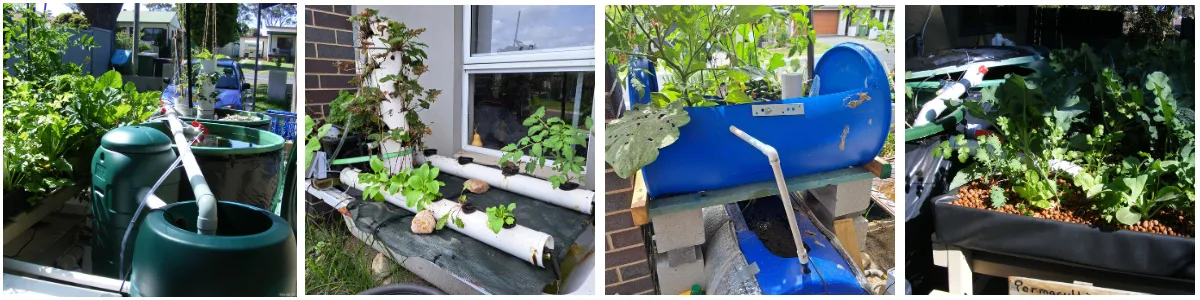 home aquaponics system