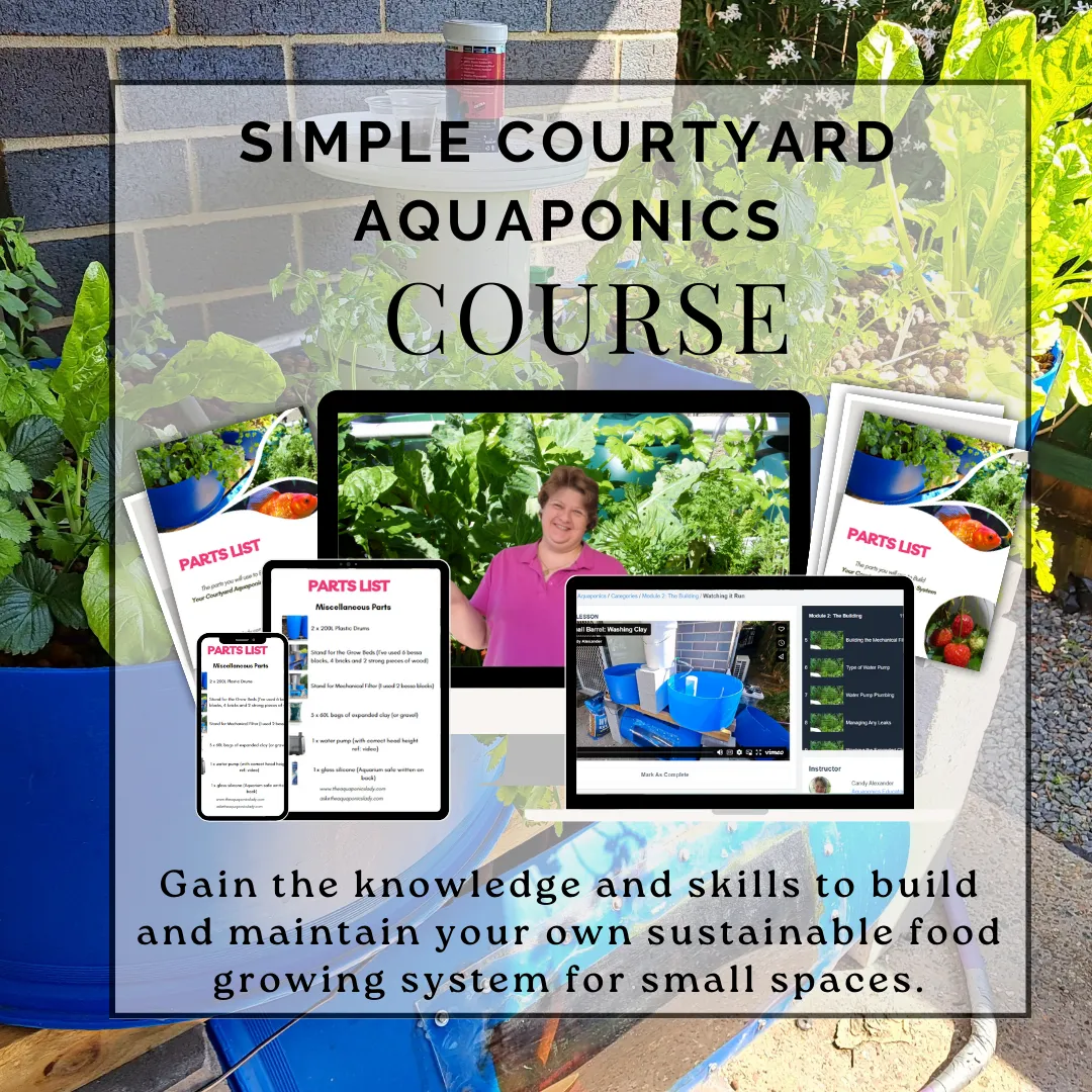 Backyard aquaponics course