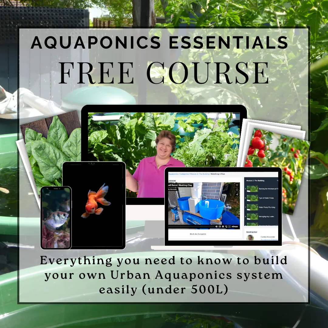 free aquaponics course nline