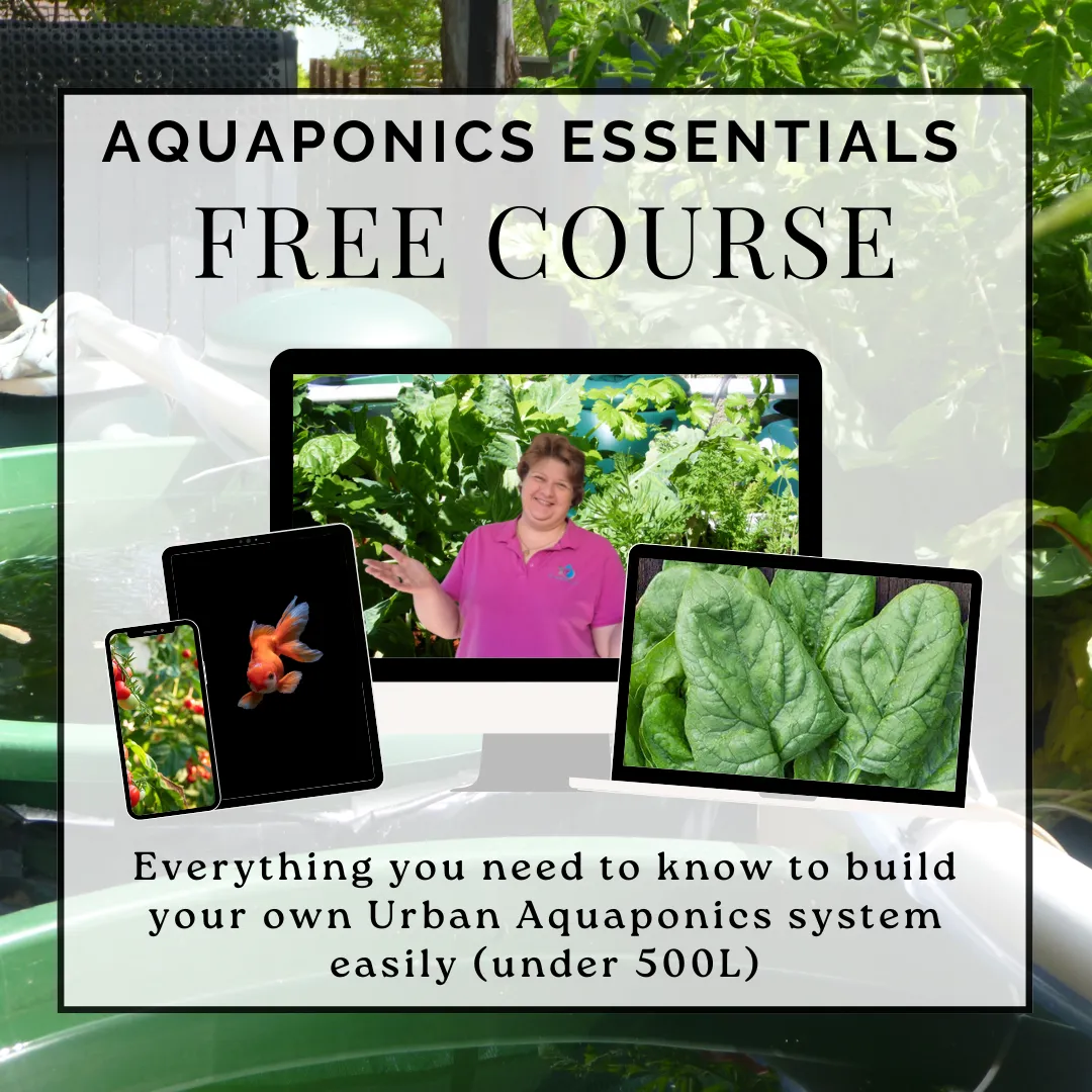 free aquaponics course online