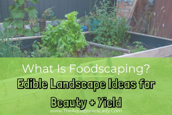 What Is Foodscaping? (Edible Landscape Ideas for Beauty + Yield)