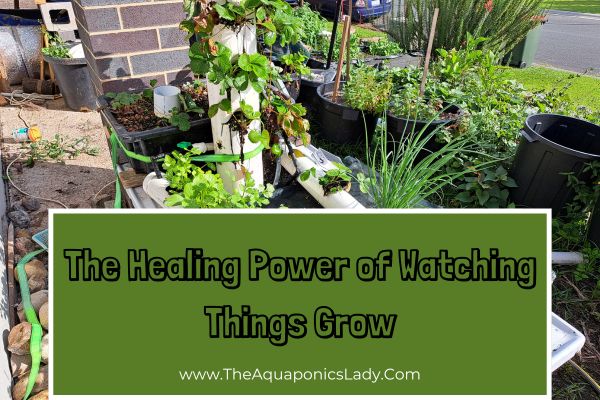 The Healing Power of Watching Things Grow